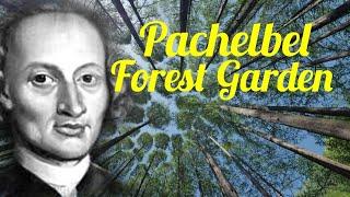 Pachelbel " Forest Garden" 파헬벨 포레스트 가든 #명상음악 #휴식음악 #relax music #Pachelbel