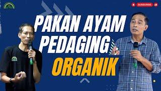 CARA PEMBERIAN PAKAN AYAM PEDAGING ORGANIK #bayudiningrat  #bayusehatmandiri #pertanian