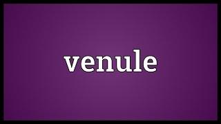 Venule Meaning