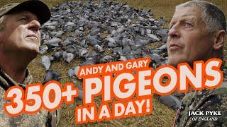 350+ Pigeons in a day with Andy Crow and Gary "+1" | Red Letter Day | Pigeon Shooting