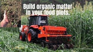 How to build organic matter in your food plots.