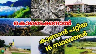 Top 16 Places to Visit in Kodaikanal | Kodaikanal Travel Guide | Malayalam