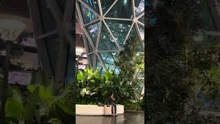 Tropical Rainforest in the Airport.