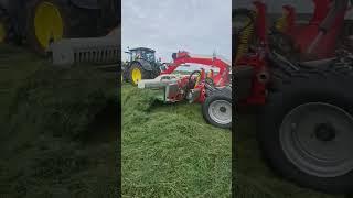 Johndeere 6R mit Bandschwader am Schwaden. #Bandschwader #farming #shorts #mv #farmlife #farmer