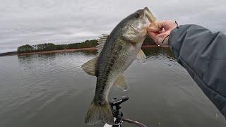 February Bass Fishing in Alabama- Wedowee