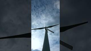 Windrad ️ Wind und Watt ? #windrad #wind #watt #shortvideo #shorts #zeitraffer