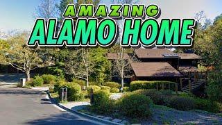 Amazing Alamo Home | Coming SOON!