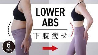 Get Your Lower Abs In 2 Weeks - 6 Min Workout For Beginners #520