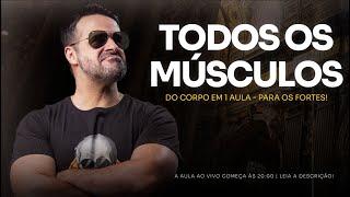 TODOS OS MÚSCULOS DO CORPO EM 1 AULA - #aovivo