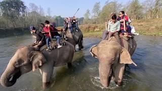 elephant safari chitwan 2020