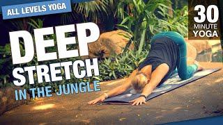 30 Minute Deep Stretch Jungle Yoga Class - Five Parks Yoga