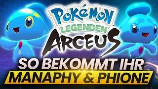 DIE LEGENDE DES MEERES! So bekommt ihr MANAPHY und PHIONE in Pokemon Legenden Arceus!