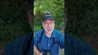 Best Wildlife Photographer's Accessory -  Binoculars