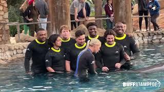 Colorado Buffaloes spend Christmas afternoon at SeaWorld for 2024 Alamo Bowl Team Day