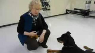 Pet Psychic Val Heart Demonstrates Animal Communicaion