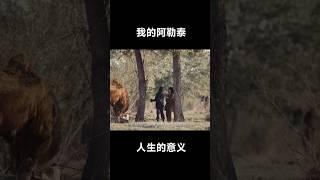 我的阿勒泰 能停止内耗的一句话 #马伊琍 #我的阿勒泰 #新疆
