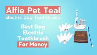 5 Best Dog Electric Toothbrush | Where to buy dog electric toothbrush?