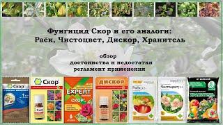 Скор, Раёк, Чистоцвет, Дискор, Хранитель - обзор средств для защиты растений от болезней