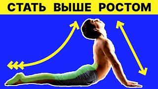 5 Супер Упражнений Чтобы Стать Выше Ростом