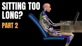 The Anatomy behind Prolonged sitting | Part 2