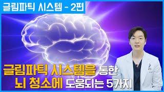 뇌를 청소해주는 글림파틱 시스템 - 2편