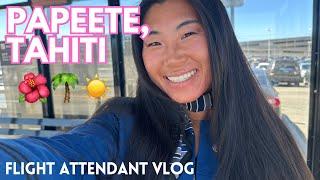 INTERNATIONAL FLIGHT ATTENDANT VLOG: a layover in PARADISE! 