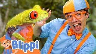 Rainforest Adventure with Blippi and Mark Vins | Brave Wilderness for Kids | Educational Videos