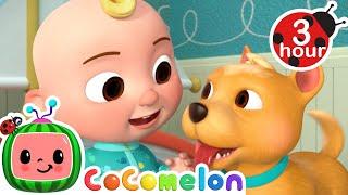 Wake Up The House, Bingo!  CoComelon Nursery Rhymes and Kids Songs | 3 HOURS | After School Club