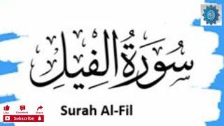 surah Al feel || Islamic insights || beautiful recitation