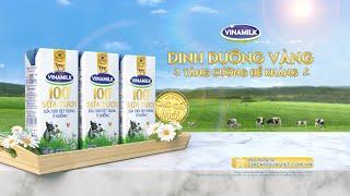 Vinamilk 100% Sữa tươi cao cấp mới – Dinh dưỡng vàng tăng cường đề kháng