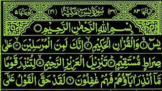 Surah Yaseen || Surah Ar Rahman || Complete Recitation || Surah Al Mulk Beautiful Tilawat