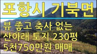 포항부동산 기북면 탑정리 조망 좋은 230평 5천만원대 토지 매매 포항토지매매 포항주택매매 포항주택