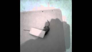 Got heeeem coach episode 1:dead rat
