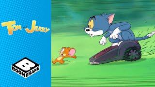 Tom & Jerry Hurry Hurry |  Compilation Double Trouble #NOUVEAU Dessin animé