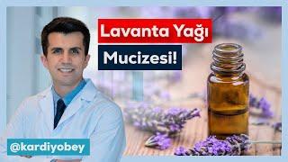 Lavanta Yağının 5 Faydası!