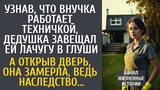 Узнав, что внучка работает техничкой, дедушка завещал ей лачугу в глуши… А открыв дверь она замерла