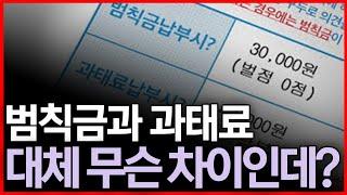 범칙금과 과태료, 대체 어떤 차이인가요?