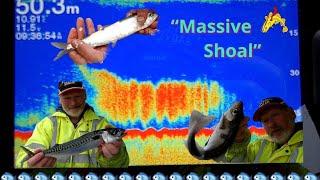 “Massive Shoal” what is it? Lets find out  Boat Fishing North Sea 