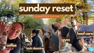 Sunday Reset: Horse Rider Edition | Riding With Rhi, UK Equestrian YouTuber