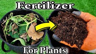 100% Free Fertilizer for plants, How to make Compost at home