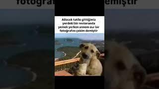 #gezi #aile #vlog #beniöneçıkart #hediye #new #tatil #alışveriş