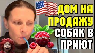 Big Big Family in the USA /Дом продают /Собак в приют!? /Обзор /Жизнь в Америке /США Vlog