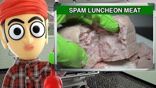 Spam Hormel Foods Luncheon Meat - Runforthecube Food Review