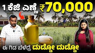 ಒಂದು ಕೆಜಿ ಈ ಗಿಡದ ಎಣ್ಣೆಗೆ ₹70,000 | ಸೆಂಟ್ ಗಿಡ ಬೆಳೆದರೆ ಲಕ್ಷ ಲಕ್ಷ ಆದಾಯ| Perfume Plant | Dhavana Farming