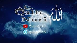 Qalb Nuri !!!