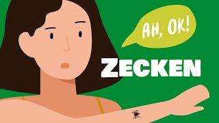 Zecken entfernen: So geht‘s | ah, ok!