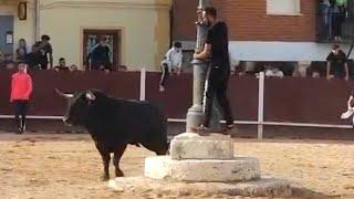  PELIGRO! SE SUBE EN UNA FAROLA CERCA DEL TORO