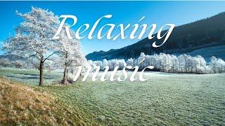 1 Hour Of Relaxing Music For Ultimate Stress Relief And Calmness 1小时轻音乐 放松 舒适 宁静 舒缓 休息 #解压  #悠闲 #轻松