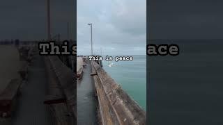 Peaceful #foryou #fyp #peace #ocean #beach #happy py