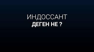 Индоссант деген не?